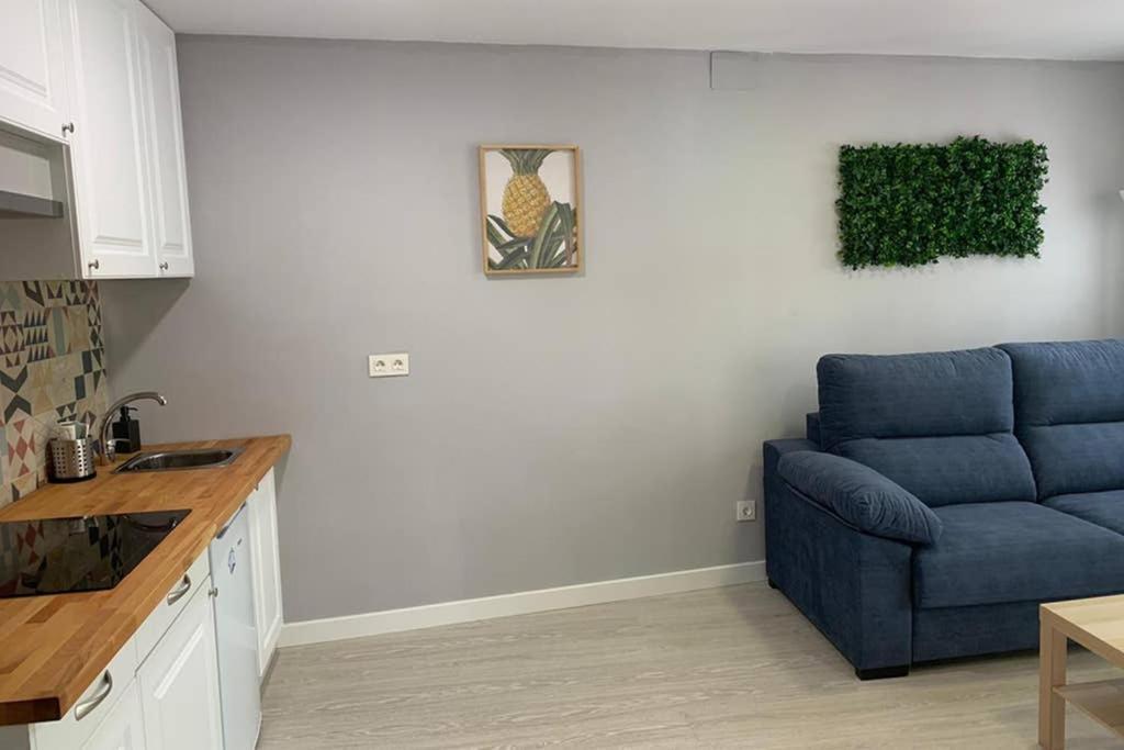 Appartement Agustina - Piso Centrico Reformado En Calle Peatonal *